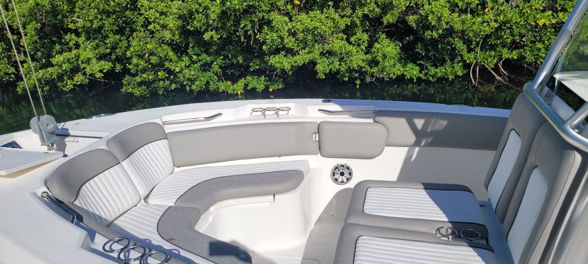 New upholstery gray & white cushions